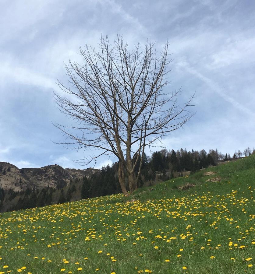أيرولو B&B Gottardo المظهر الخارجي الصورة