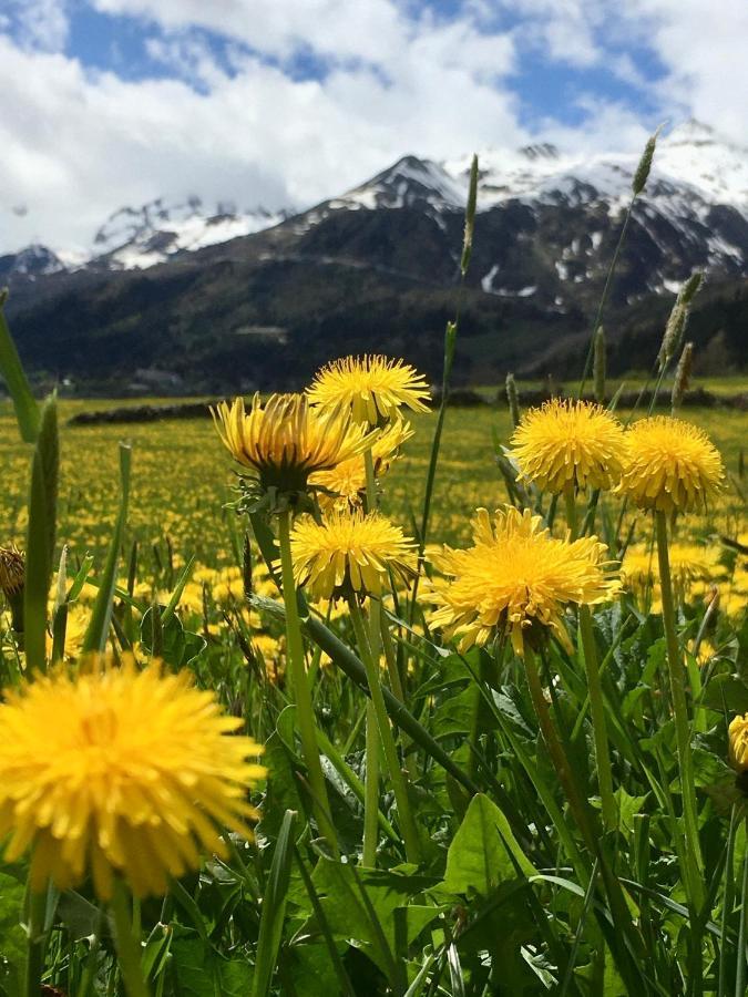 أيرولو B&B Gottardo المظهر الخارجي الصورة